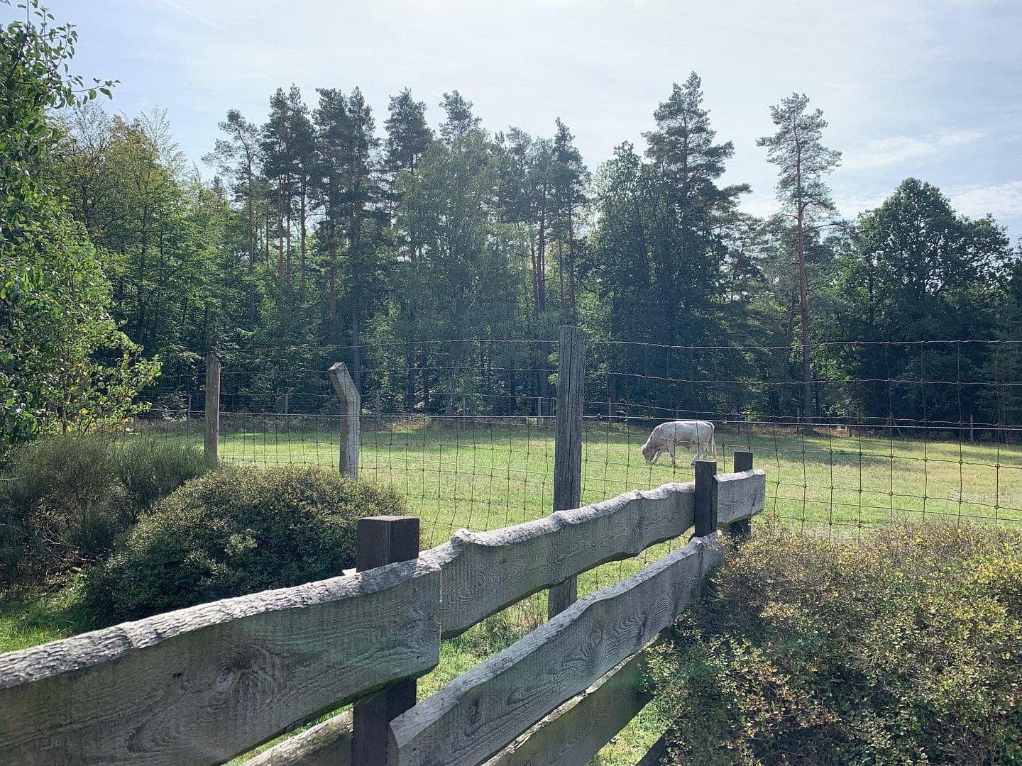 recreational property for sale, 10,000 m², Ahlbeck, Mecklenburg-Vorpommern recreational property for sale, 10,000 m², Ahlbeck, Mecklenburg-Vorpommern
