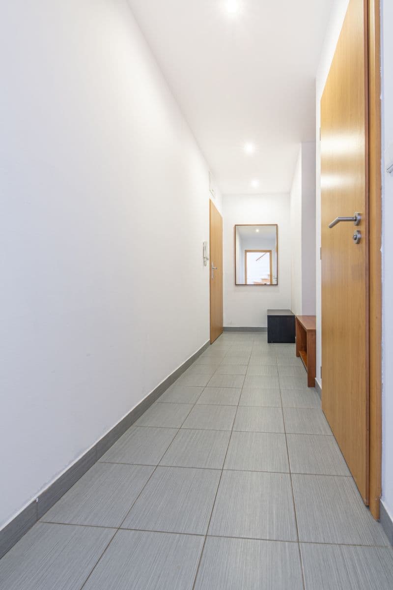 1 bedroom with open-plan kitchen flat for sale, 82 m², Volkova, Prague, Prague 1 bedroom with open-plan kitchen flat for sale, 82 m², Volkova, Prague, Prague