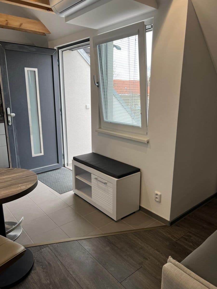 Studio flat to rent, 40 m², U Svodnice, Prague, Prague Studio flat to rent, 40 m², U Svodnice, Prague, Prague