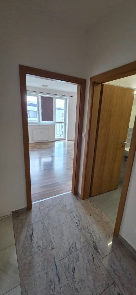 Studio flat to rent, 33 m², Goldscheiderova, Plzeň, Plzeňský Region Studio flat to rent, 33 m², Goldscheiderova, Plzeň, Plzeňský Region