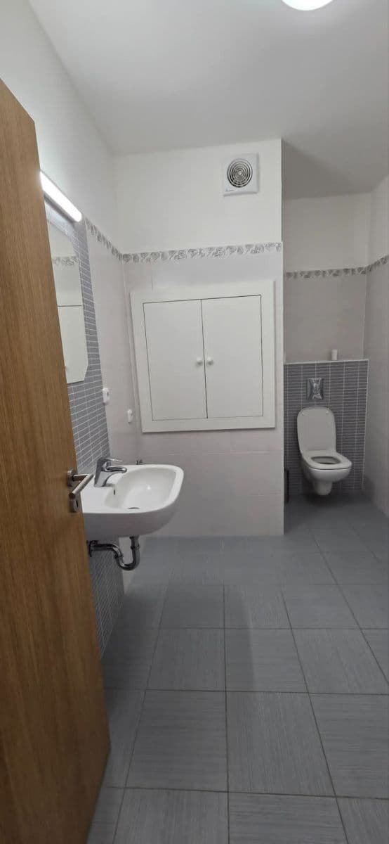 Studio flat to rent, 33 m², Goldscheiderova, Plzeň, Plzeňský Region Studio flat to rent, 33 m², Goldscheiderova, Plzeň, Plzeňský Region