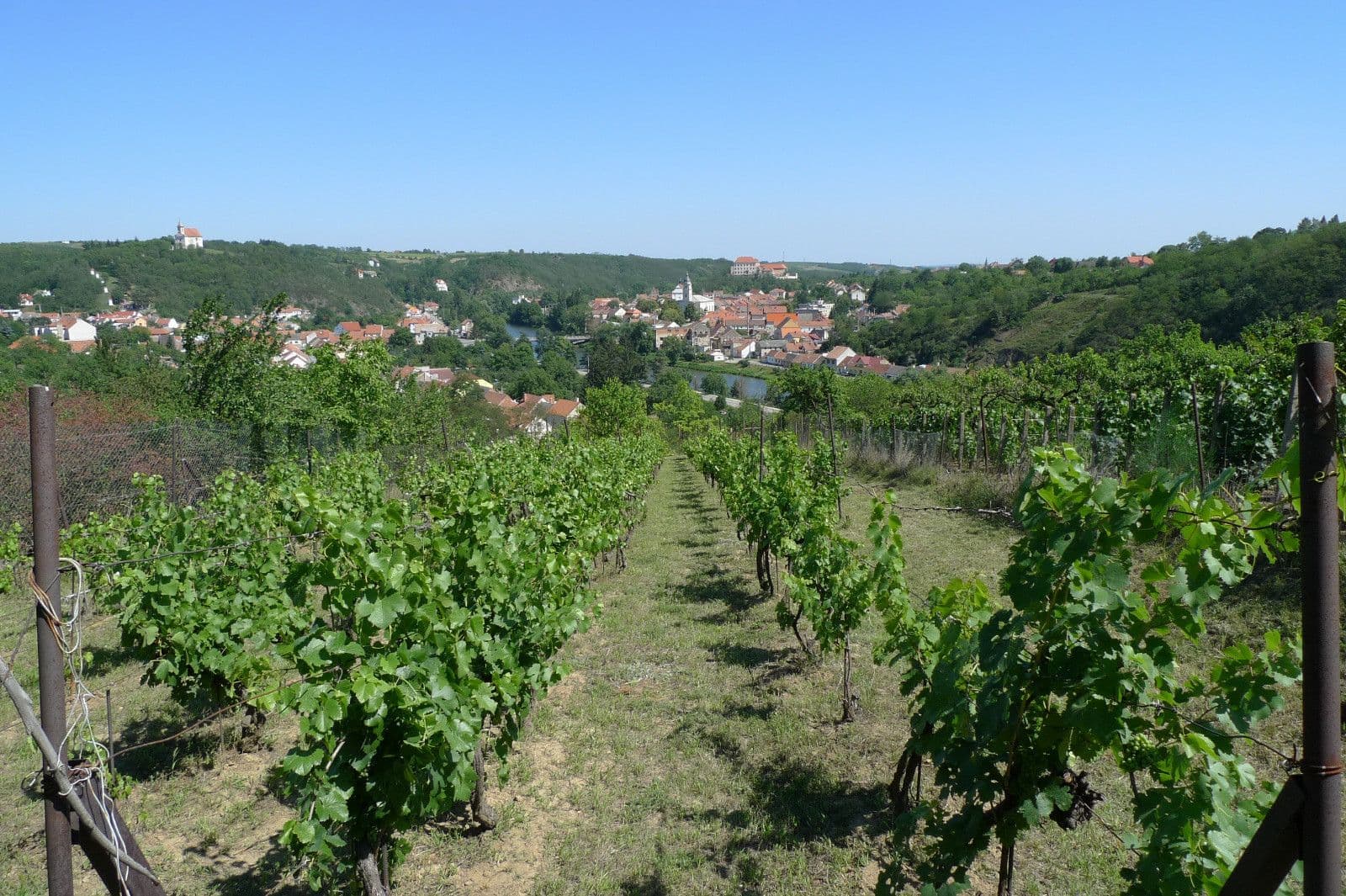 plot for sale, 3,055 m², Dolní Kounice, Jihomoravský Region plot for sale, 3,055 m², Dolní Kounice, Jihomoravský Region