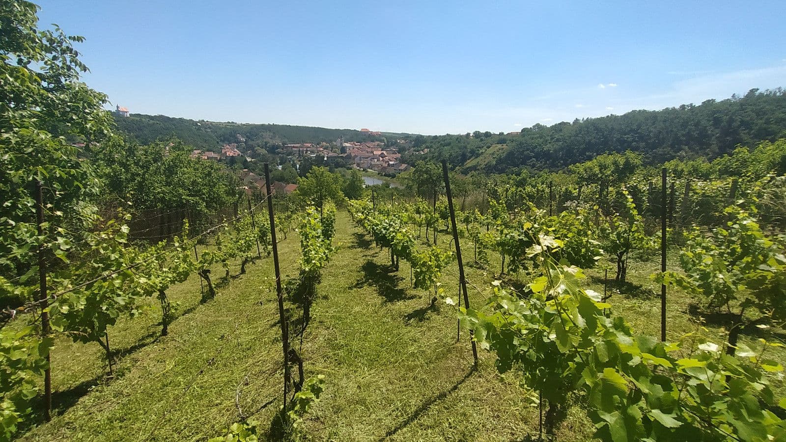 plot for sale, 3,055 m², Dolní Kounice, Jihomoravský Region plot for sale, 3,055 m², Dolní Kounice, Jihomoravský Region