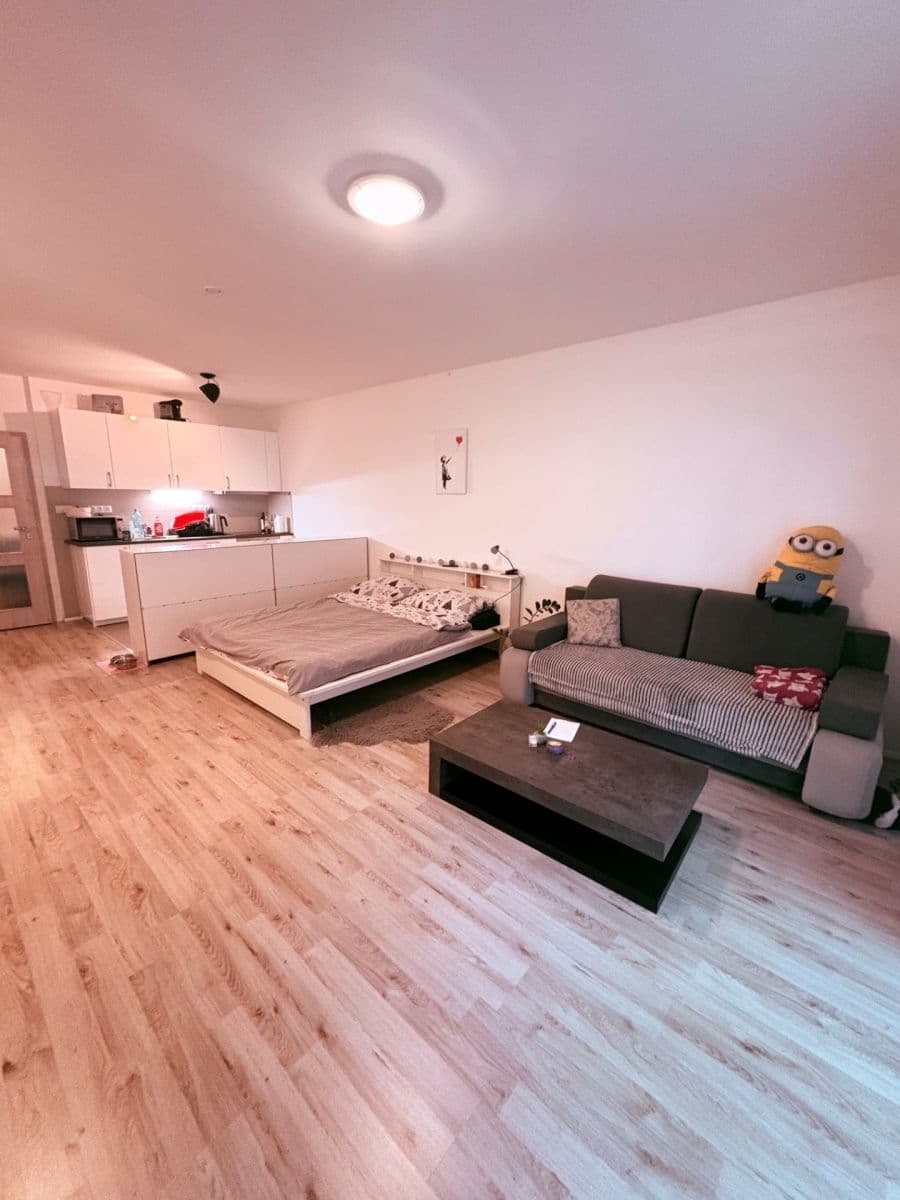 Studio flat to rent, 46 m², Květoslava Mašity, Všenory, Středočeský Region Studio flat to rent, 46 m², Květoslava Mašity, Všenory, Středočeský Region
