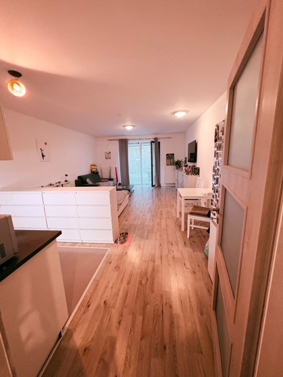 Studio flat to rent, 46 m², Květoslava Mašity, Všenory, Středočeský Region Studio flat to rent, 46 m², Květoslava Mašity, Všenory, Středočeský Region
