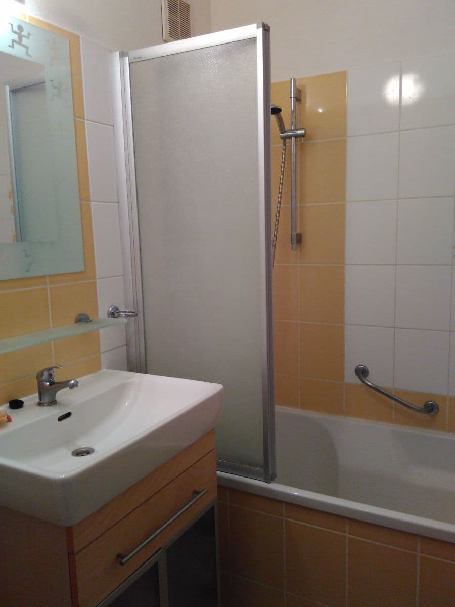 1 bedroom with open-plan kitchen flat to rent, 48 m², Gruzínská, Brno, Jihomoravský Region 1 bedroom with open-plan kitchen flat to rent, 48 m², Gruzínská, Brno, Jihomoravský Region