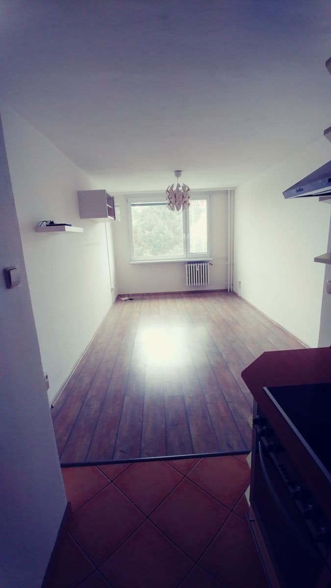 1 bedroom with open-plan kitchen flat to rent, 45 m², Cílkova, Prague, Prague 1 bedroom with open-plan kitchen flat to rent, 45 m², Cílkova, Prague, Prague