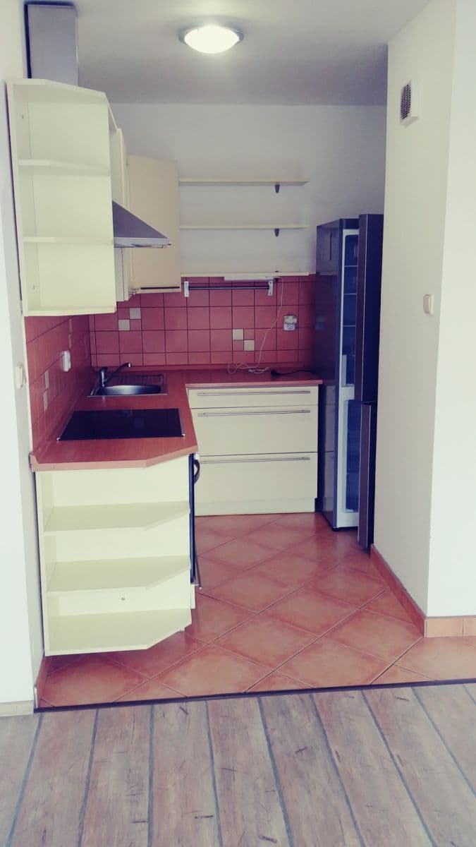 1 bedroom with open-plan kitchen flat to rent, 45 m², Cílkova, Prague, Prague 1 bedroom with open-plan kitchen flat to rent, 45 m², Cílkova, Prague, Prague