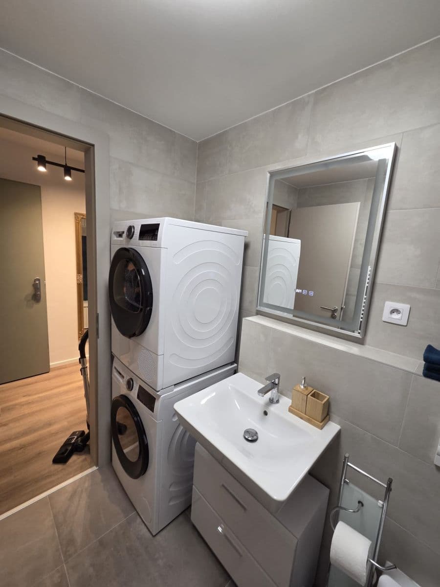 1 bedroom with open-plan kitchen flat to rent, 51 m², Arnošta Valenty, Prague, Prague 1 bedroom with open-plan kitchen flat to rent, 51 m², Arnošta Valenty, Prague, Prague