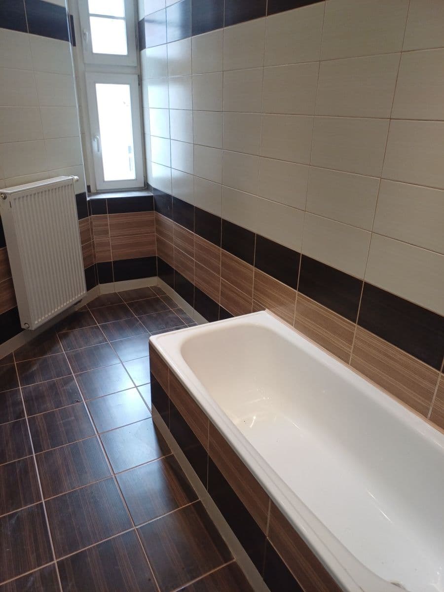 1 bedroom with open-plan kitchen flat to rent, 48 m², Madridská, Prague, Prague 1 bedroom with open-plan kitchen flat to rent, 48 m², Madridská, Prague, Prague