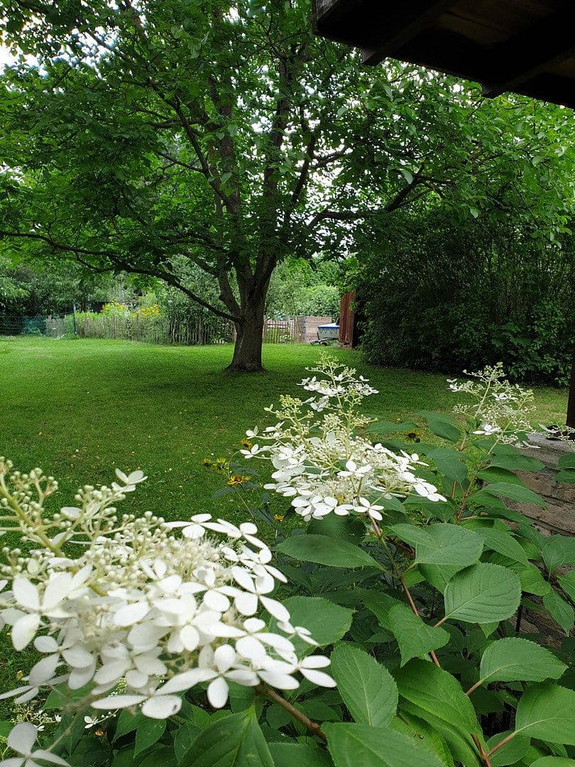 house for sale, 170 m², Kremmen, Brandenburg house for sale, 170 m², Kremmen, Brandenburg