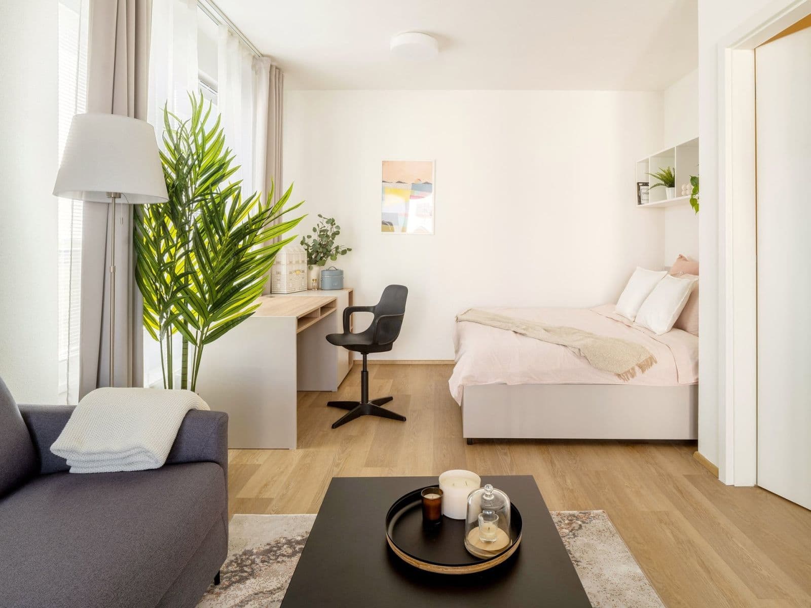 Studio flat to rent, 39 m², Františka Kováříka, Plzeň, Plzeňský Region Studio flat to rent, 39 m², Františka Kováříka, Plzeň, Plzeňský Region