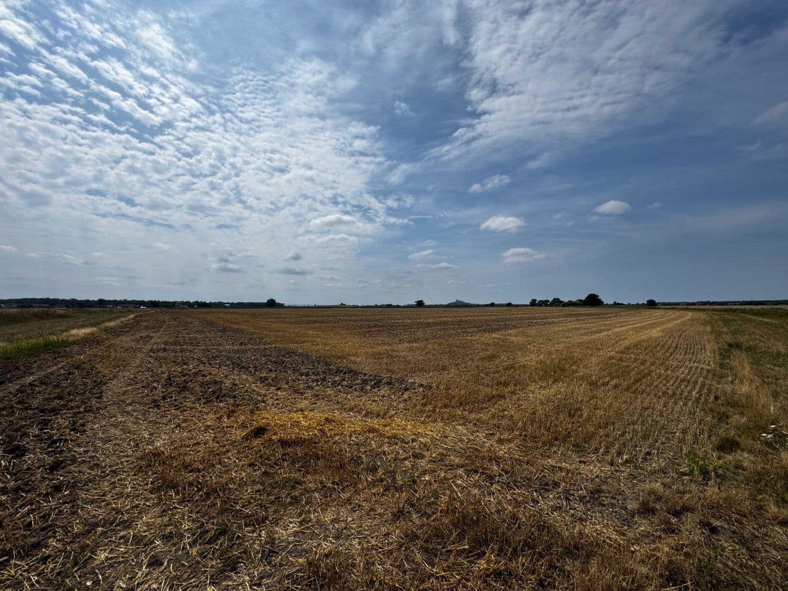 plot for sale, 83,000 m², Pardubická, Choteč, Pardubický Region plot for sale, 83,000 m², Pardubická, Choteč, Pardubický Region