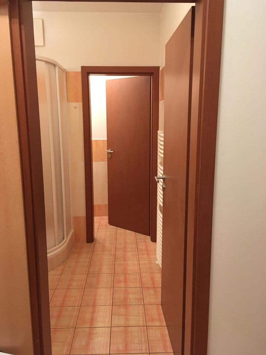 1 bedroom with open-plan kitchen flat to rent, 42 m², Plzeňská, Prague, Prague 1 bedroom with open-plan kitchen flat to rent, 42 m², Plzeňská, Prague, Prague