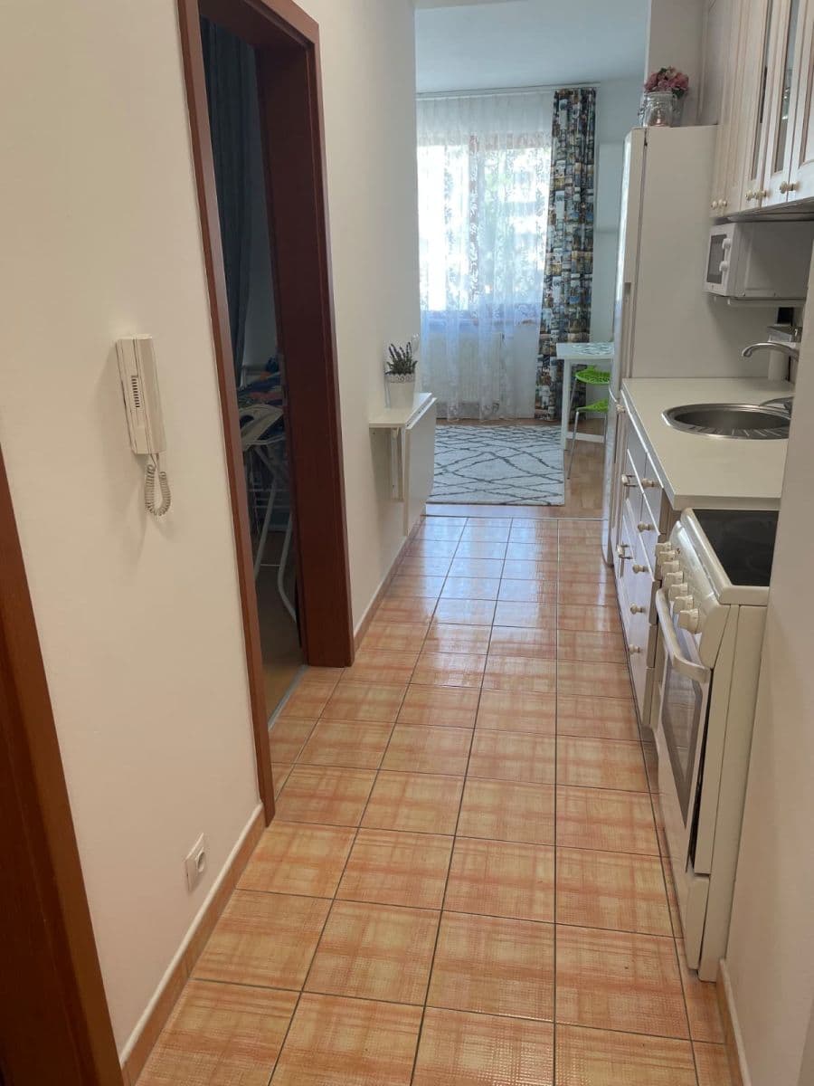 1 bedroom with open-plan kitchen flat to rent, 42 m², Plzeňská, Prague, Prague 1 bedroom with open-plan kitchen flat to rent, 42 m², Plzeňská, Prague, Prague