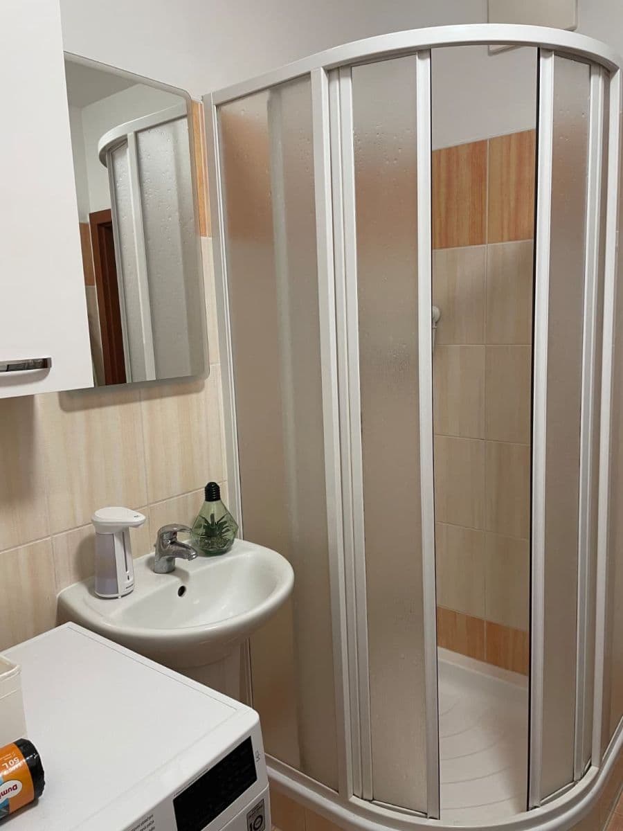 1 bedroom with open-plan kitchen flat to rent, 42 m², Plzeňská, Prague, Prague 1 bedroom with open-plan kitchen flat to rent, 42 m², Plzeňská, Prague, Prague