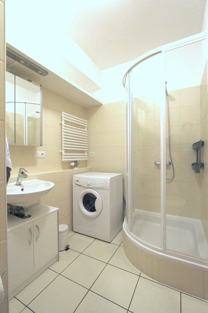 1 bedroom with open-plan kitchen flat to rent, 40 m², V Zahradách, Prague, Prague 1 bedroom with open-plan kitchen flat to rent, 40 m², V Zahradách, Prague, Prague