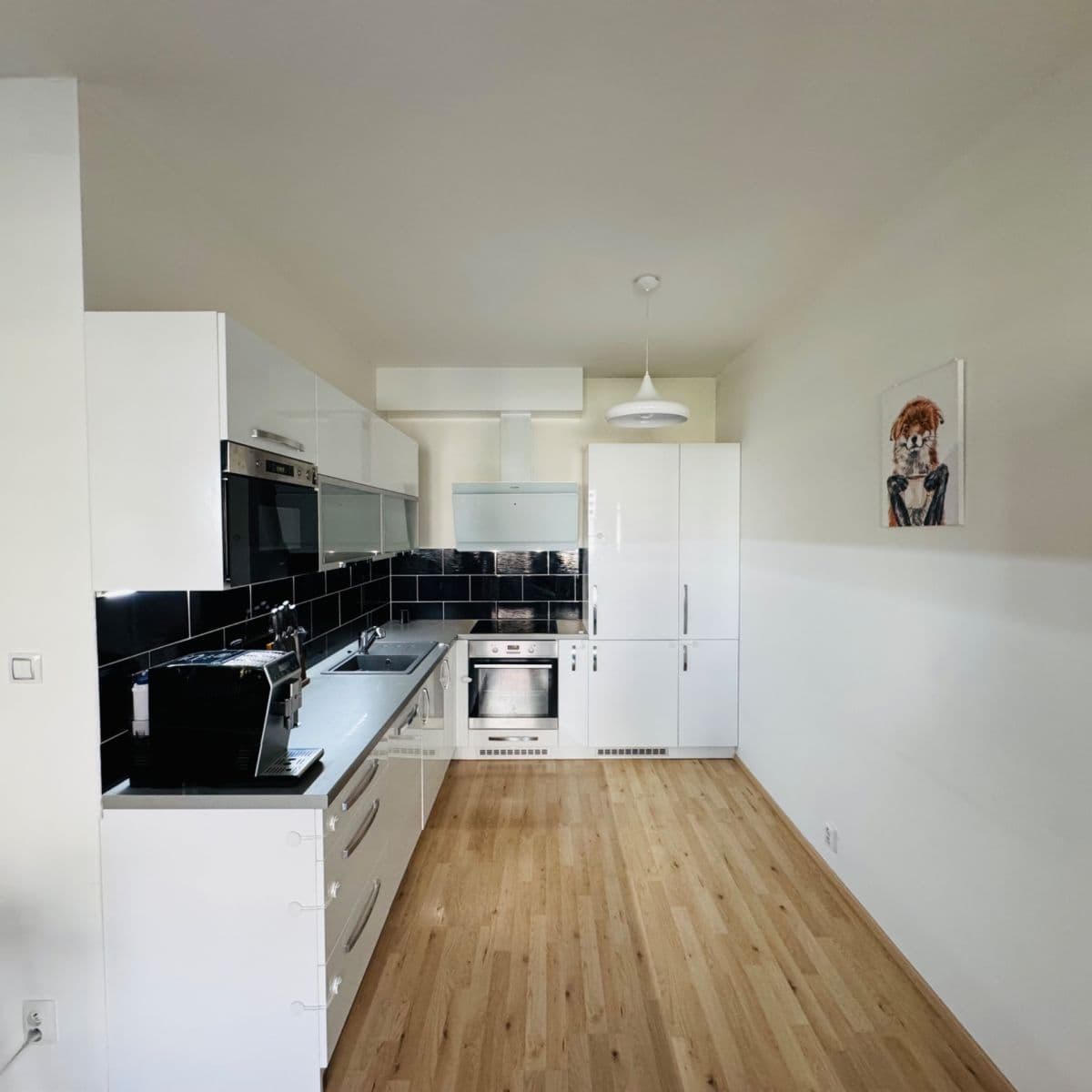 1 bedroom with open-plan kitchen flat for sale, 61 m², Kigginsova, Brno, Jihomoravský Region 1 bedroom with open-plan kitchen flat for sale, 61 m², Kigginsova, Brno, Jihomoravský Region