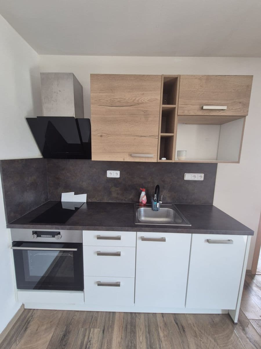1 bedroom with open-plan kitchen flat to rent, 45 m², Na Vyhlídce, Moravany, Jihomoravský Region 1 bedroom with open-plan kitchen flat to rent, 45 m², Na Vyhlídce, Moravany, Jihomoravský Region