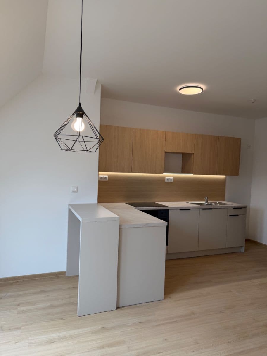 2 bedroom with open-plan kitchen flat to rent, 94 m², Horova, Ústí nad Labem, Ústecký Region 2 bedroom with open-plan kitchen flat to rent, 94 m², Horova, Ústí nad Labem, Ústecký Region