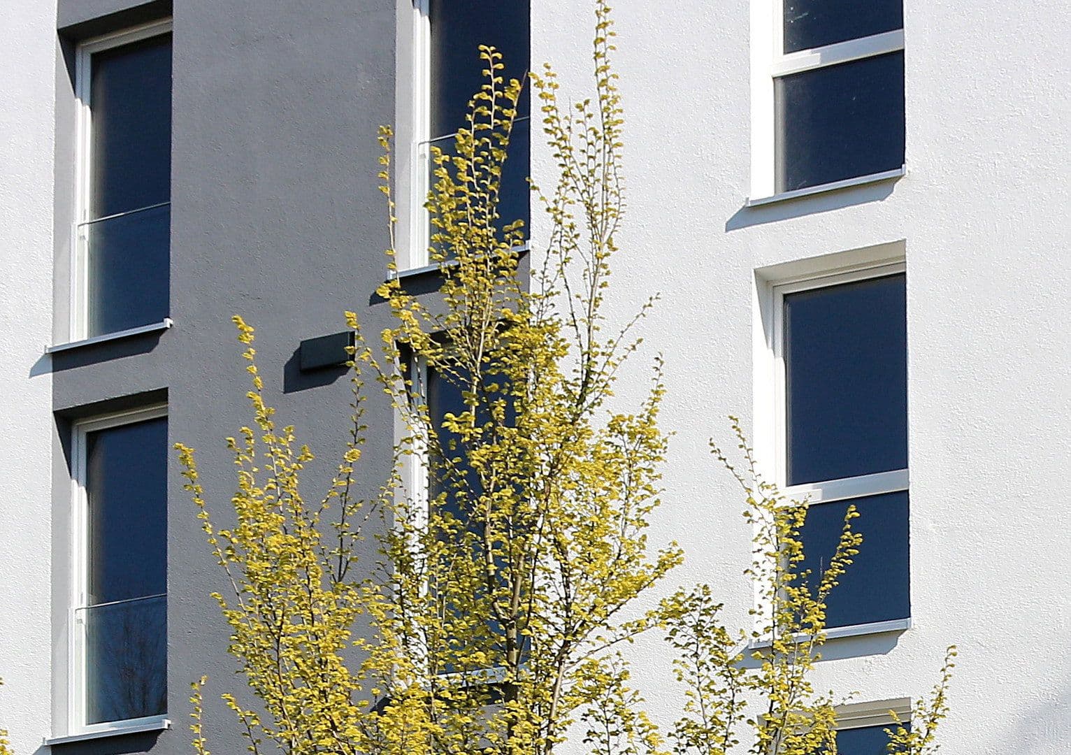 3 bedroom flat to rent, 70 m², Albert-Einstein-Str. 7a, Rostock, Mecklenburg-Vorpommern 3 bedroom flat to rent, 70 m², Albert-Einstein-Str. 7a, Rostock, Mecklenburg-Vorpommern