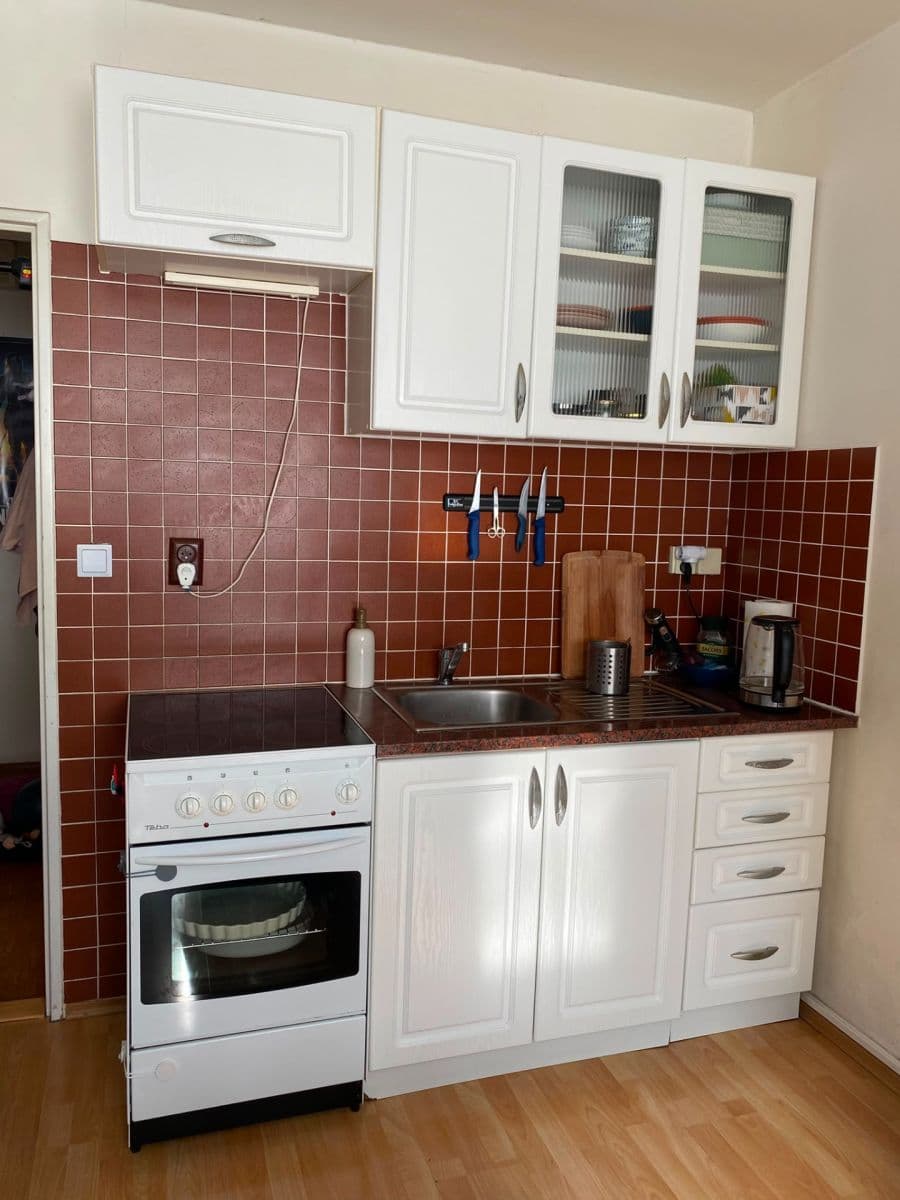 1 bedroom with open-plan kitchen flat to rent, 40 m², Bryksova, Prague, Prague 1 bedroom with open-plan kitchen flat to rent, 40 m², Bryksova, Prague, Prague