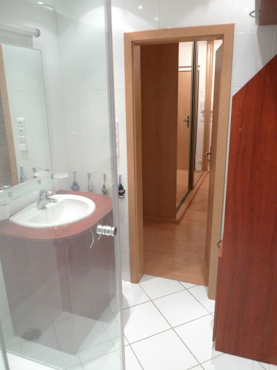 1 bedroom with open-plan kitchen flat to rent, 45 m², Okružní, Vestec, Středočeský Region 1 bedroom with open-plan kitchen flat to rent, 45 m², Okružní, Vestec, Středočeský Region