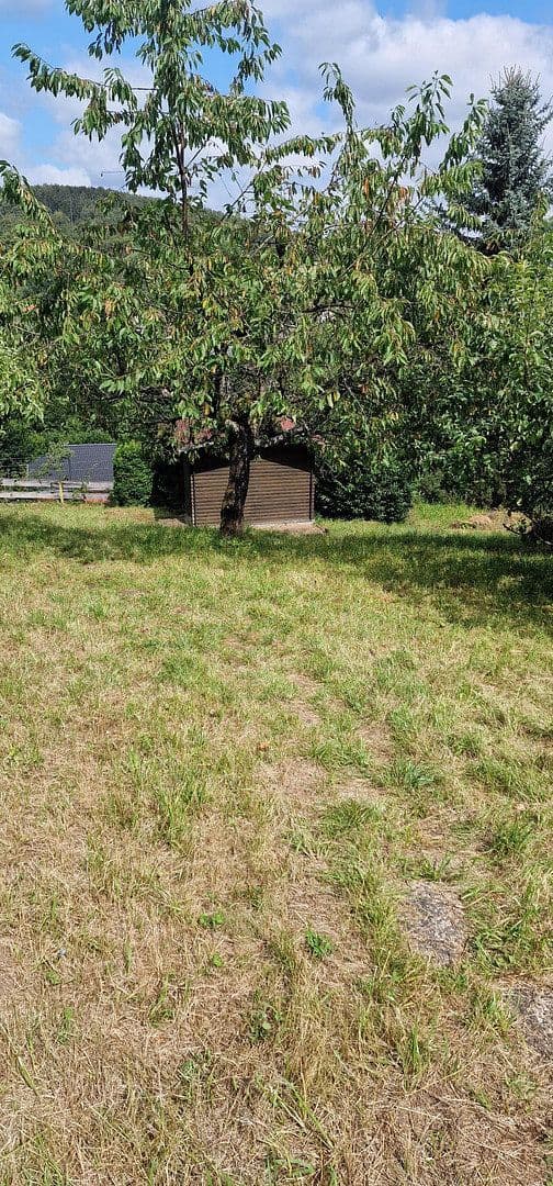 house for sale, 145 m², Bad Sachsa, Lower Saxony house for sale, 145 m², Bad Sachsa, Lower Saxony