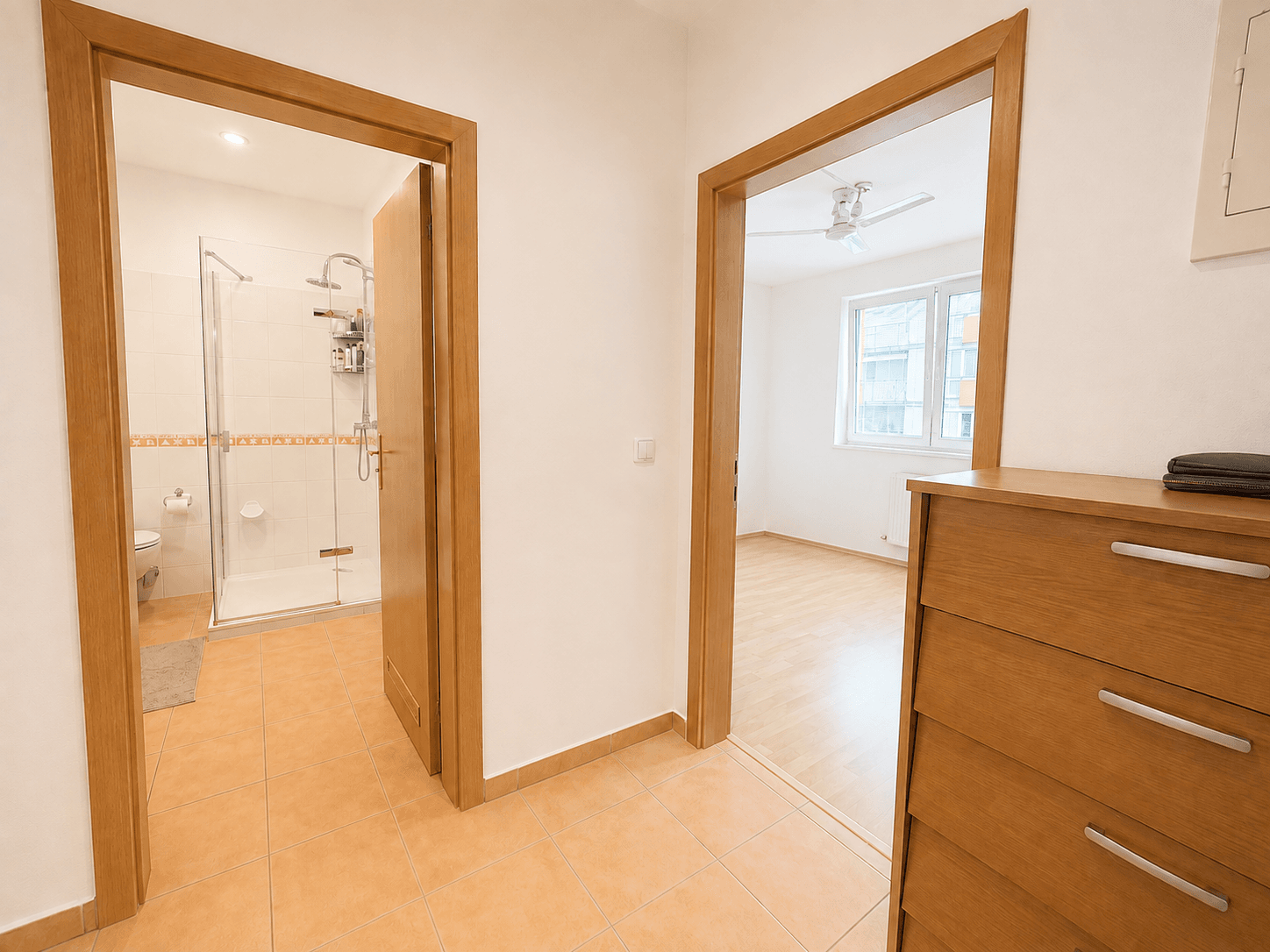 1 bedroom with open-plan kitchen flat to rent, 60 m², Názovská, Prague, Prague 1 bedroom with open-plan kitchen flat to rent, 60 m², Názovská, Prague, Prague