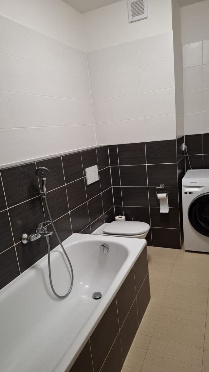1 bedroom with open-plan kitchen flat to rent, 52 m², Hugo Haase, Prague, Prague 1 bedroom with open-plan kitchen flat to rent, 52 m², Hugo Haase, Prague, Prague