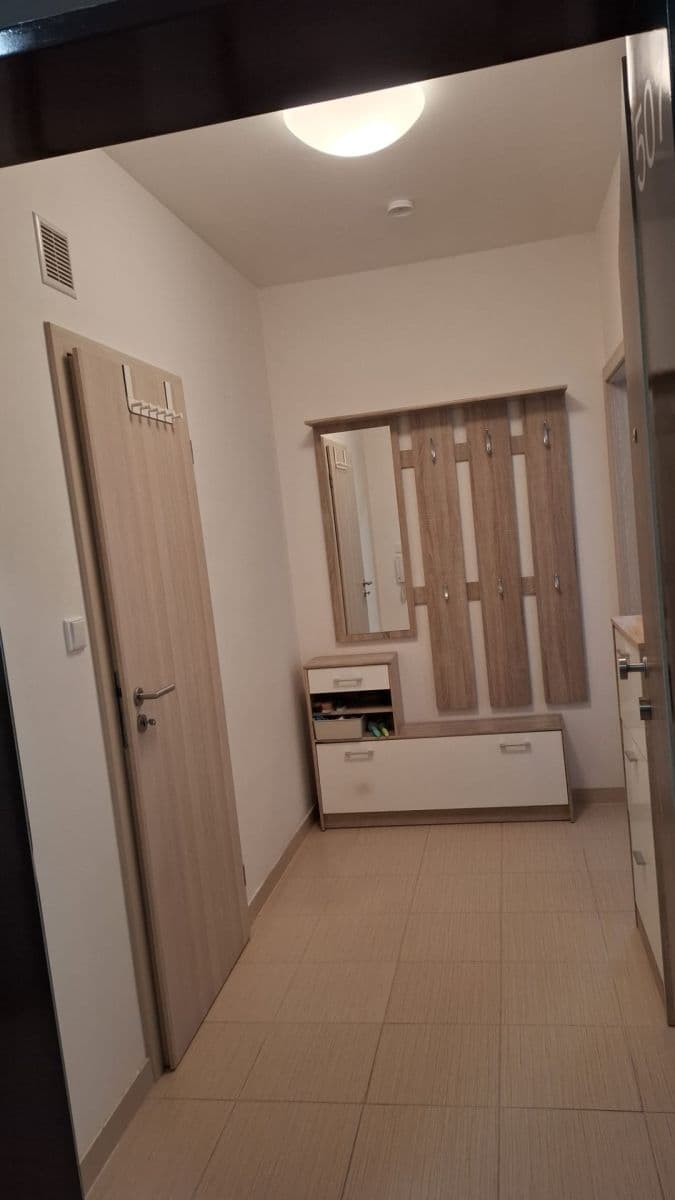 1 bedroom with open-plan kitchen flat to rent, 52 m², Hugo Haase, Prague, Prague 1 bedroom with open-plan kitchen flat to rent, 52 m², Hugo Haase, Prague, Prague