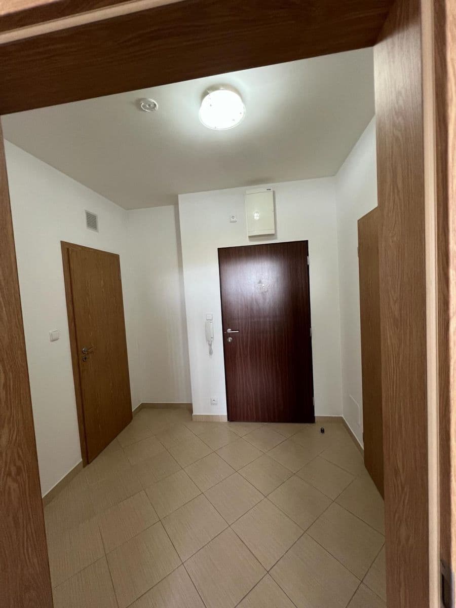 1 bedroom with open-plan kitchen flat to rent, 55 m², Pod Harfou, Prague, Prague 1 bedroom with open-plan kitchen flat to rent, 55 m², Pod Harfou, Prague, Prague