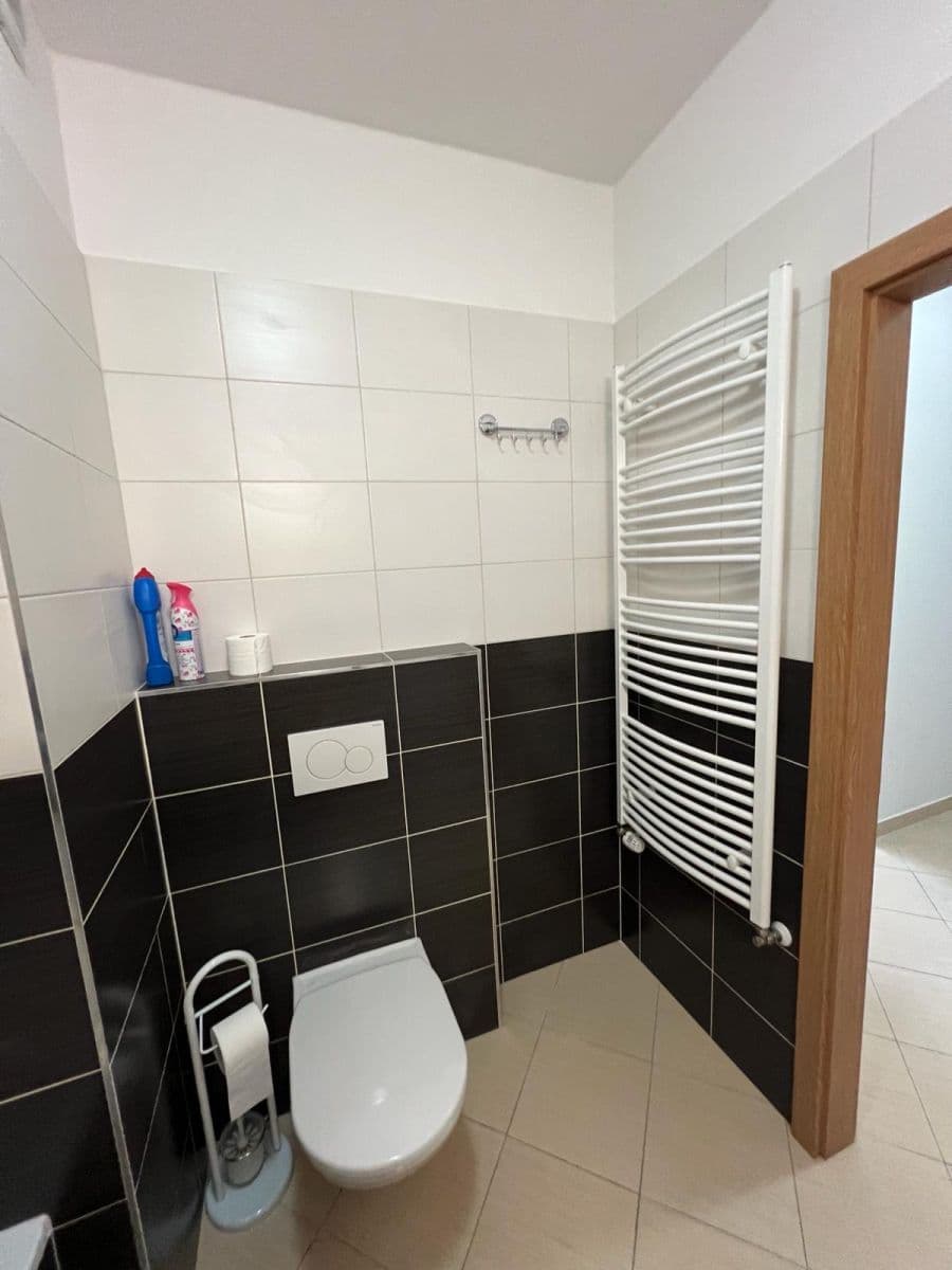 1 bedroom with open-plan kitchen flat to rent, 55 m², Pod Harfou, Prague, Prague 1 bedroom with open-plan kitchen flat to rent, 55 m², Pod Harfou, Prague, Prague