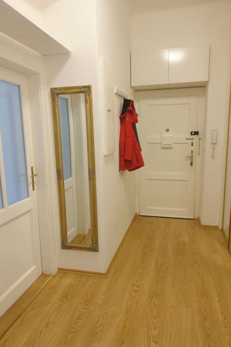 1 bedroom with open-plan kitchen flat to rent, 45 m², Družnosti, Prague, Prague 1 bedroom with open-plan kitchen flat to rent, 45 m², Družnosti, Prague, Prague
