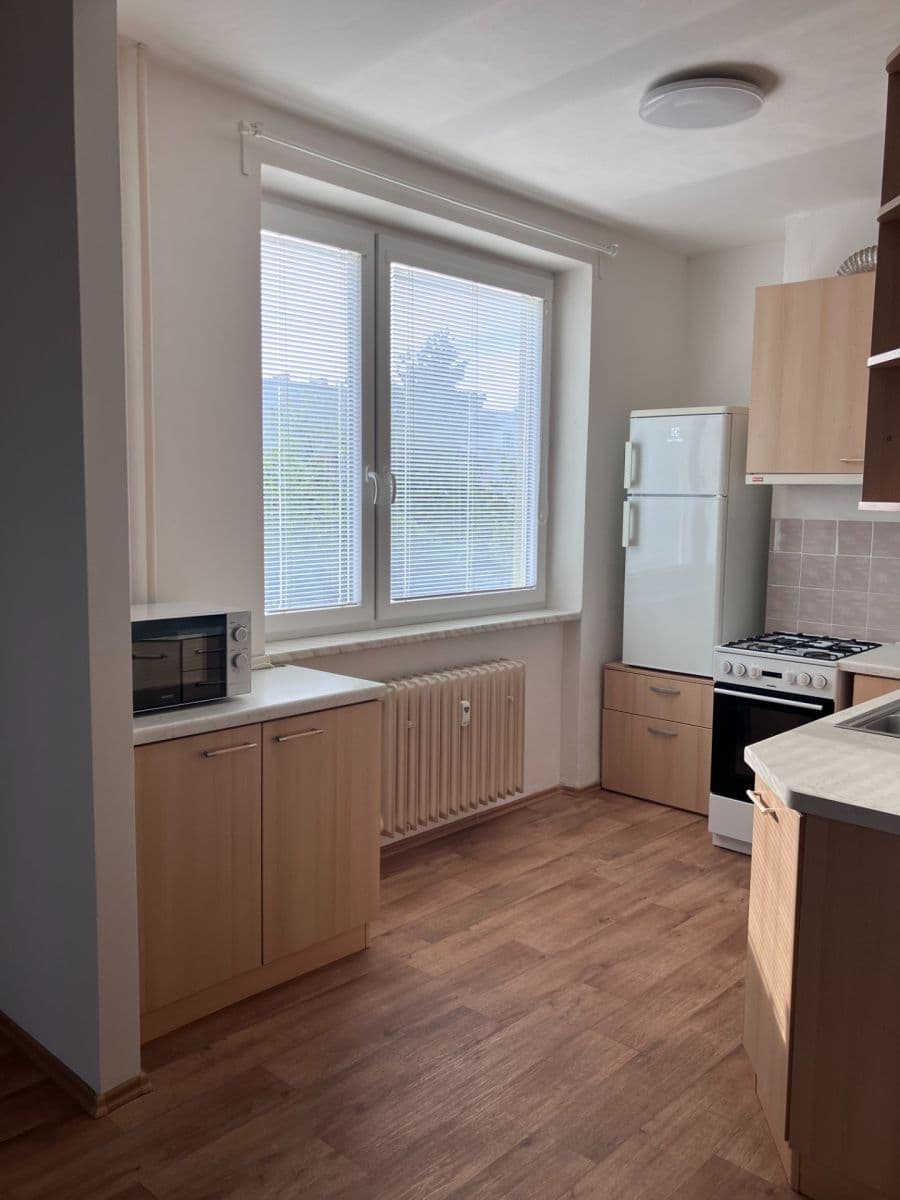 1 bedroom with open-plan kitchen flat to rent, 54 m², Došlíkova, Brno, Jihomoravský Region 1 bedroom with open-plan kitchen flat to rent, 54 m², Došlíkova, Brno, Jihomoravský Region