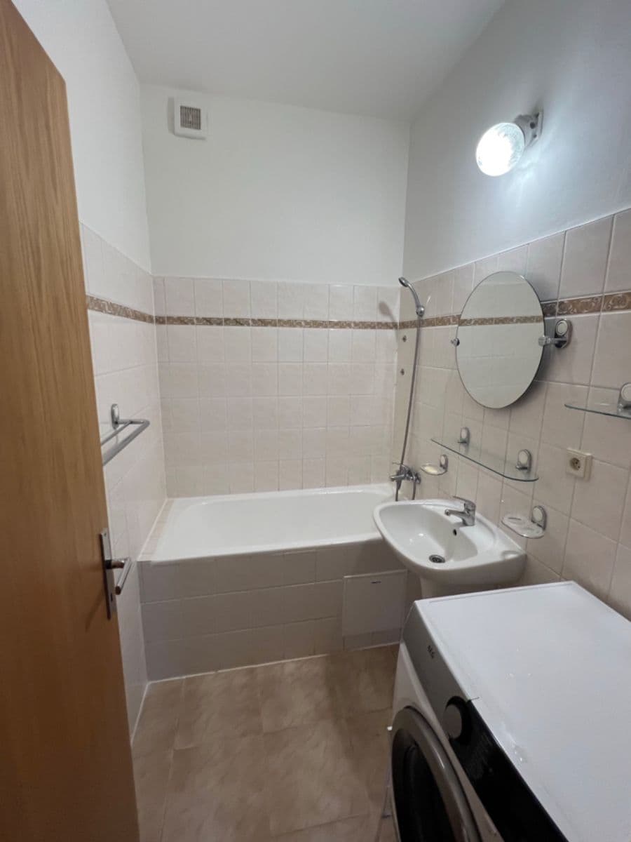 1 bedroom with open-plan kitchen flat to rent, 46 m², Rubeška, Prague, Prague 1 bedroom with open-plan kitchen flat to rent, 46 m², Rubeška, Prague, Prague