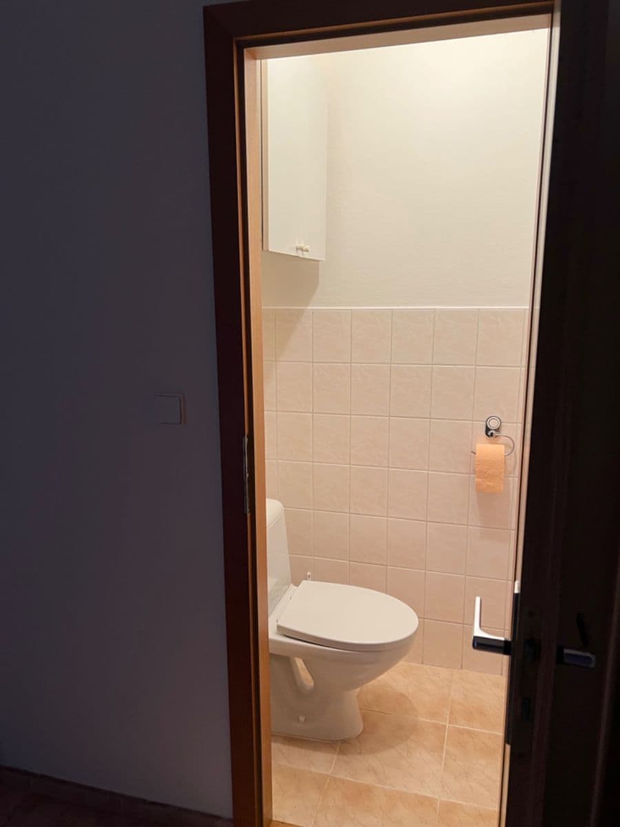 1 bedroom with open-plan kitchen flat to rent, 46 m², Rubeška, Prague, Prague 1 bedroom with open-plan kitchen flat to rent, 46 m², Rubeška, Prague, Prague