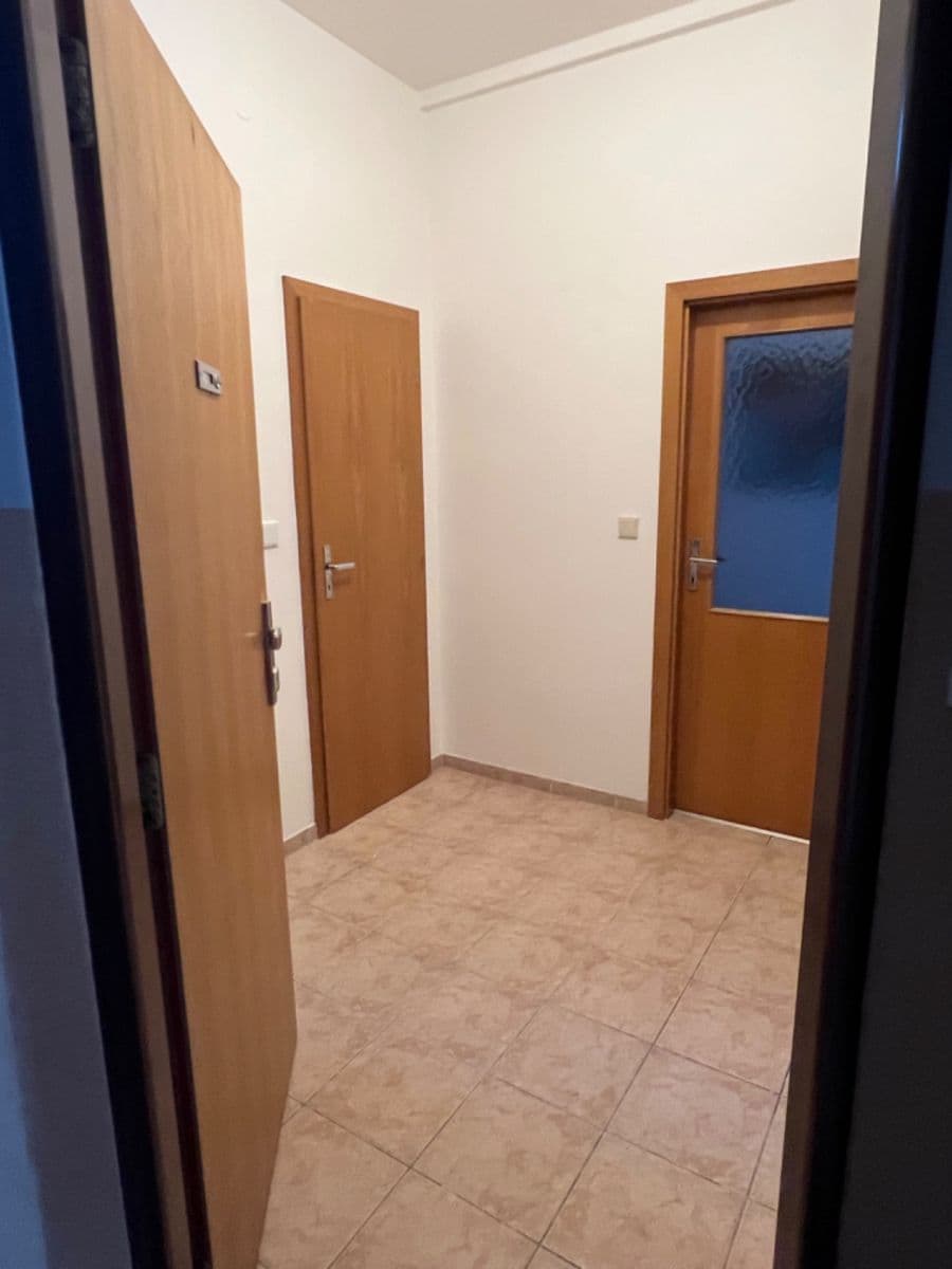 1 bedroom with open-plan kitchen flat to rent, 46 m², Rubeška, Prague, Prague 1 bedroom with open-plan kitchen flat to rent, 46 m², Rubeška, Prague, Prague
