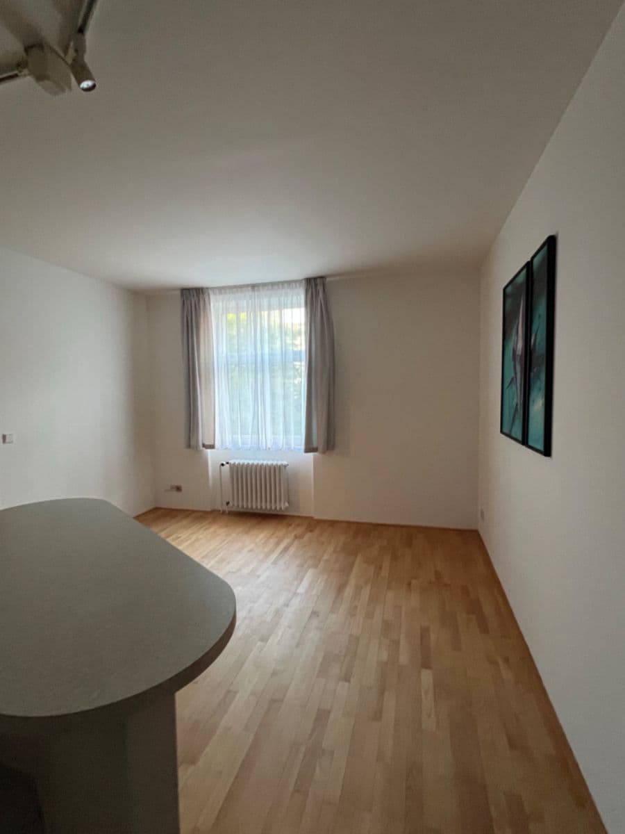 1 bedroom with open-plan kitchen flat to rent, 46 m², Rubeška, Prague, Prague 1 bedroom with open-plan kitchen flat to rent, 46 m², Rubeška, Prague, Prague