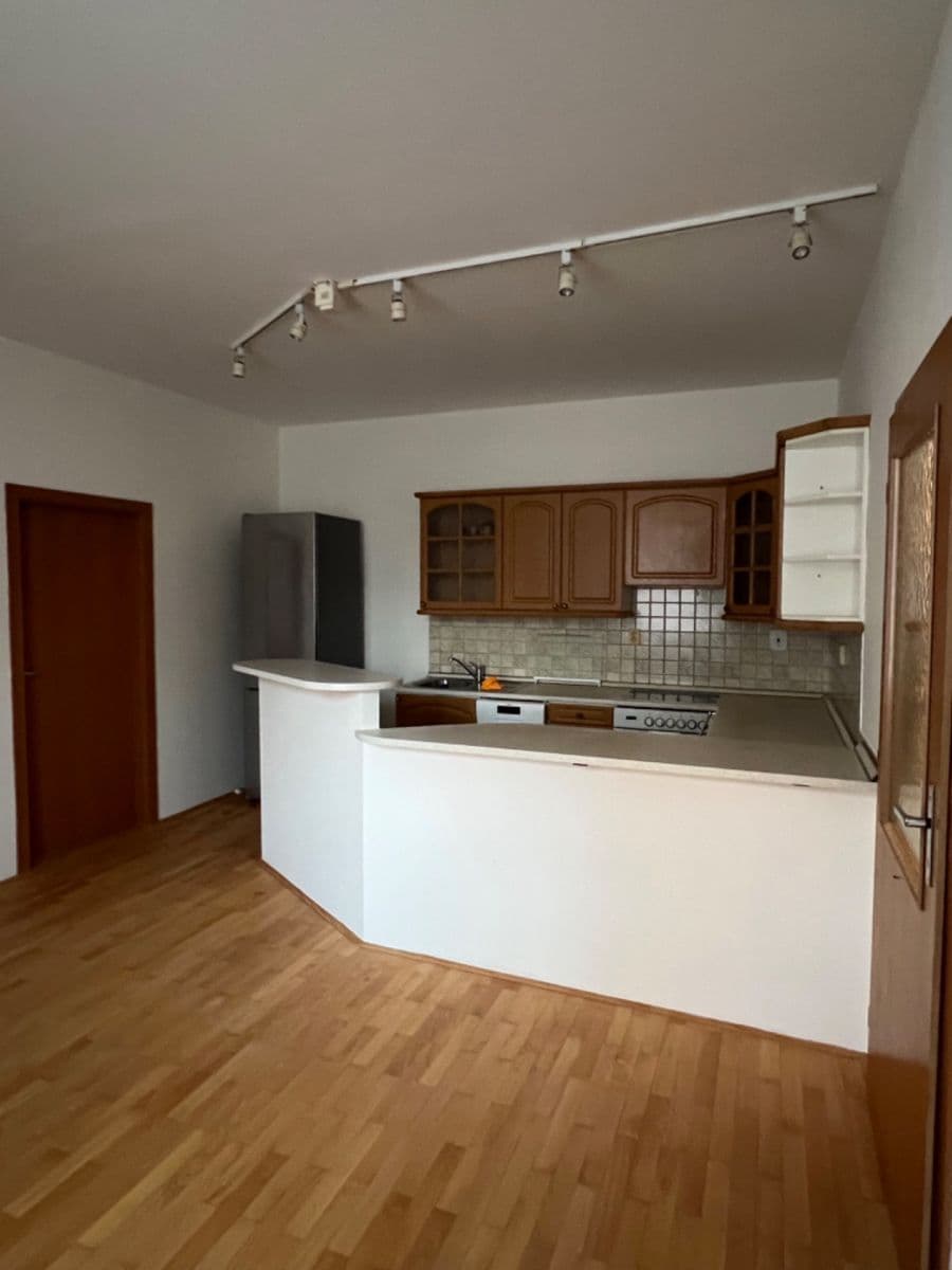 1 bedroom with open-plan kitchen flat to rent, 46 m², Rubeška, Prague, Prague 1 bedroom with open-plan kitchen flat to rent, 46 m², Rubeška, Prague, Prague