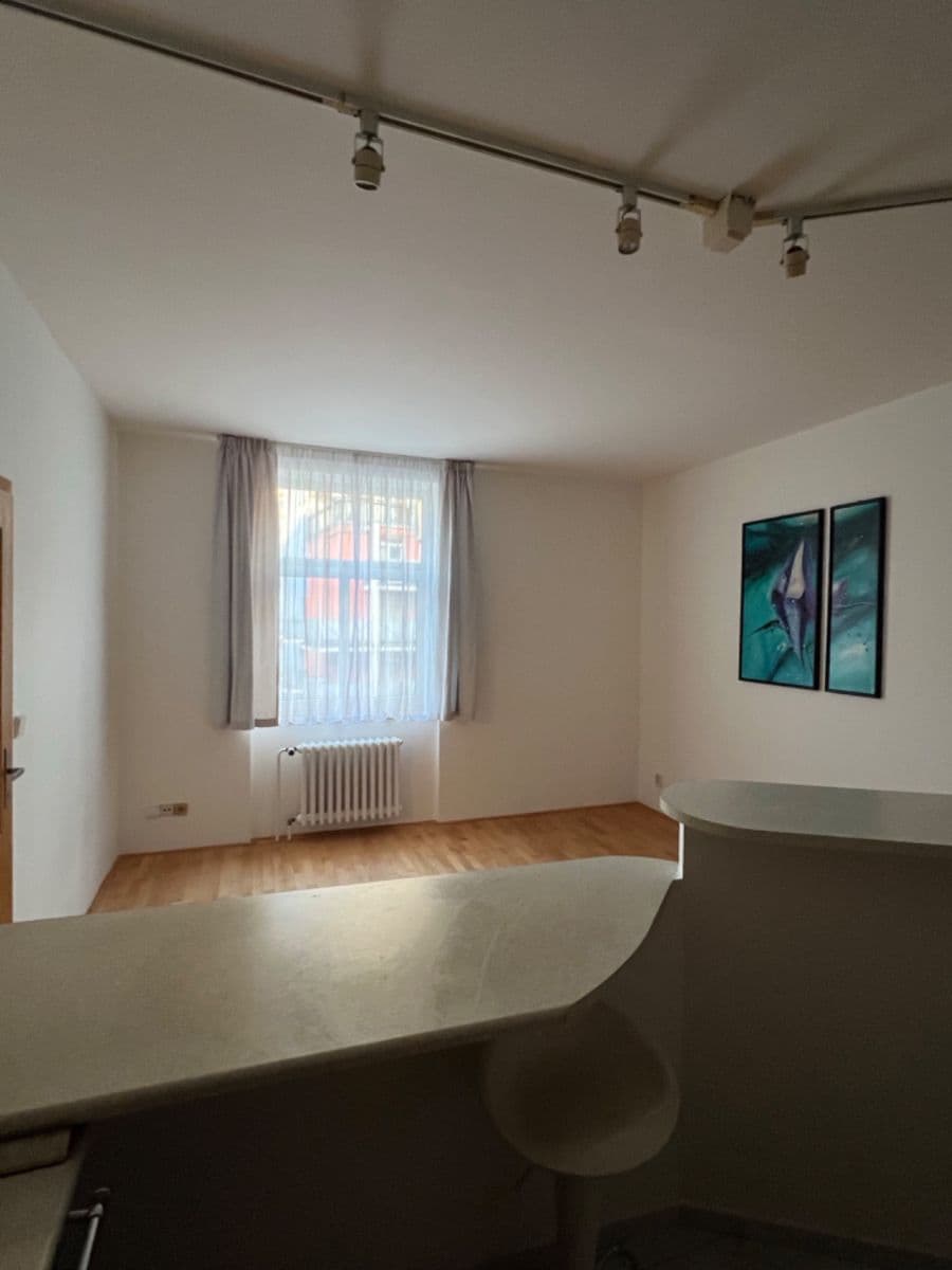 1 bedroom with open-plan kitchen flat to rent, 46 m², Rubeška, Prague, Prague 1 bedroom with open-plan kitchen flat to rent, 46 m², Rubeška, Prague, Prague