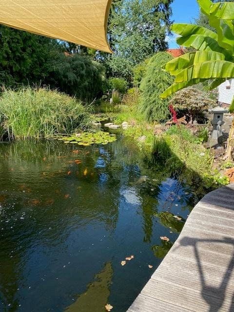house for sale, 142 m², Celle, Lower Saxony house for sale, 142 m², Celle, Lower Saxony