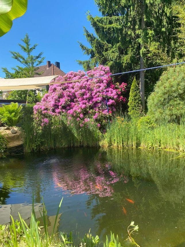 house for sale, 142 m², Celle, Lower Saxony house for sale, 142 m², Celle, Lower Saxony