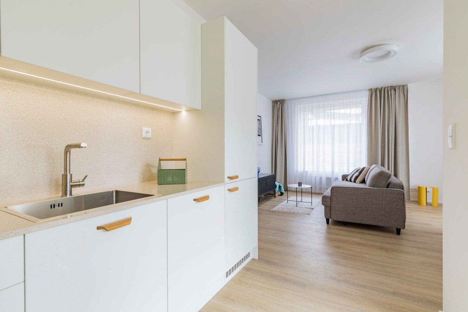 1 bedroom with open-plan kitchen flat to rent, 53 m², U Pergamenky, Prague, Prague 1 bedroom with open-plan kitchen flat to rent, 53 m², U Pergamenky, Prague, Prague