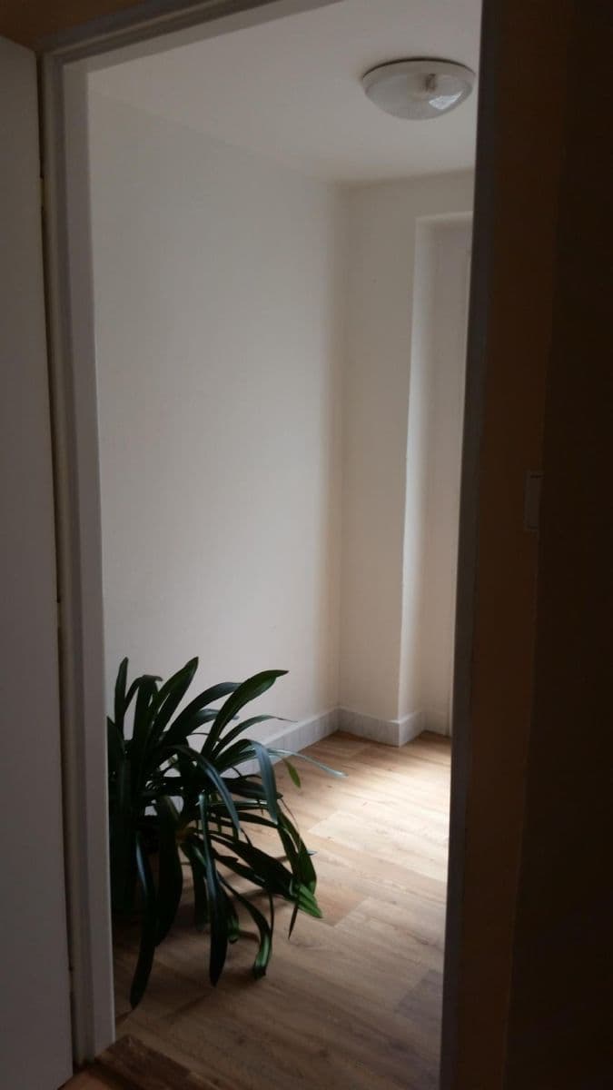Small studio flat to rent, 30 m², Čimická, Prague, Prague Small studio flat to rent, 30 m², Čimická, Prague, Prague