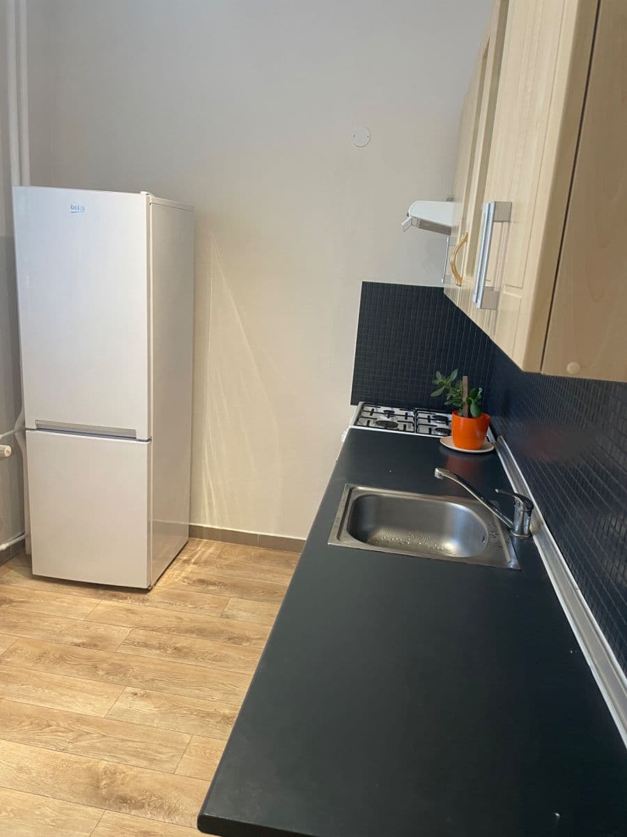 1 bedroom flat to rent, 35 m², sídliště Svobody, Prostějov, Olomoucký Region 1 bedroom flat to rent, 35 m², sídliště Svobody, Prostějov, Olomoucký Region