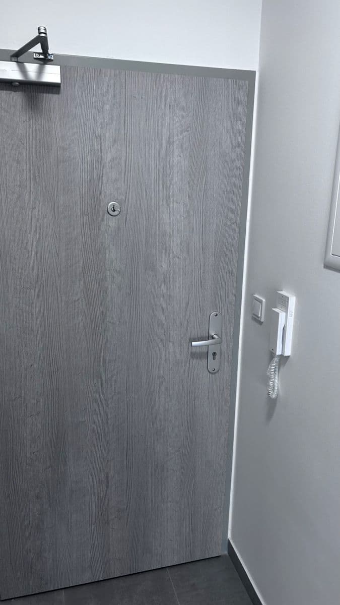 1 bedroom with open-plan kitchen flat to rent, 53 m², Gerstelova, Prague, Prague 1 bedroom with open-plan kitchen flat to rent, 53 m², Gerstelova, Prague, Prague