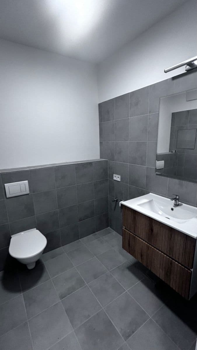 1 bedroom with open-plan kitchen flat to rent, 53 m², Gerstelova, Prague, Prague 1 bedroom with open-plan kitchen flat to rent, 53 m², Gerstelova, Prague, Prague