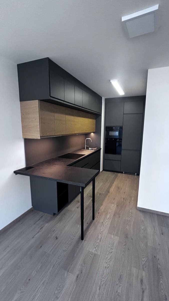 1 bedroom with open-plan kitchen flat to rent, 53 m², Gerstelova, Prague, Prague 1 bedroom with open-plan kitchen flat to rent, 53 m², Gerstelova, Prague, Prague