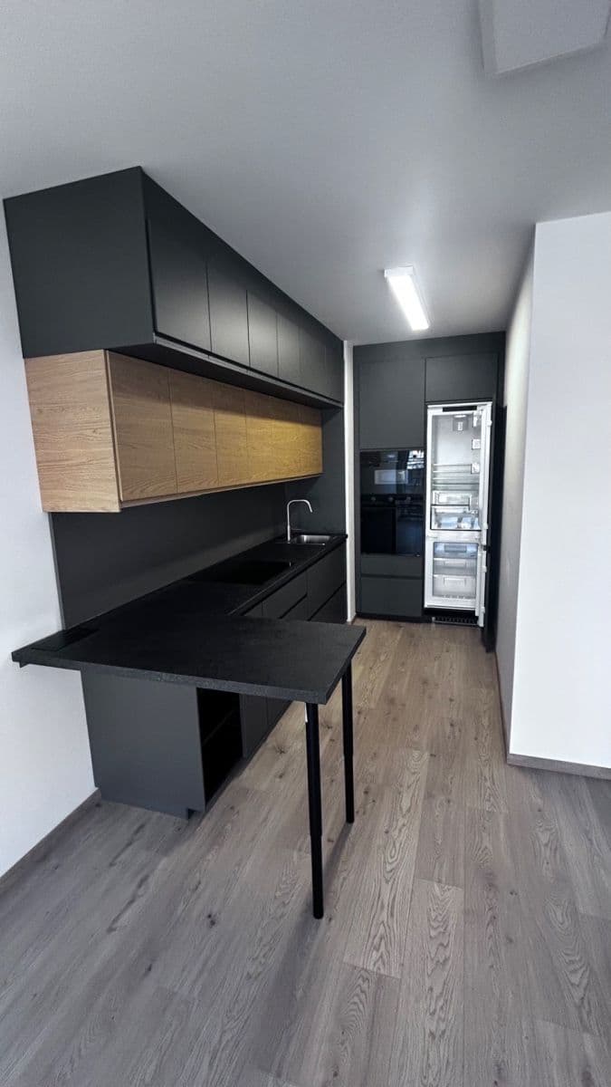 1 bedroom with open-plan kitchen flat to rent, 53 m², Gerstelova, Prague, Prague 1 bedroom with open-plan kitchen flat to rent, 53 m², Gerstelova, Prague, Prague